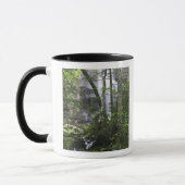 Hiker bewundert die Falls Branch Falls Tasse (Links)