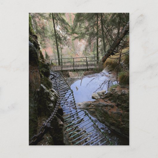 Hikin in Slowakei Postkarte (Vorderseite)