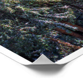 Hiking the Lakes Basin Poster (Ecke)