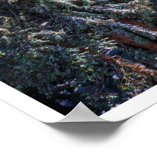 Hiking the Lakes Basin Poster (Ecke)