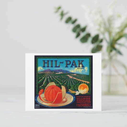 Hil Pak Orange LabelLindsay, CA Postkarte (Stehend Vorderseite)