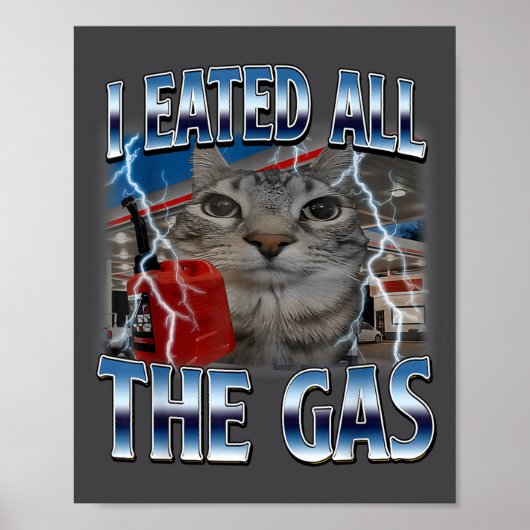 Hilarious Cat Eated Lover Cat Gas I All Silly Sayi Poster (Vorne)
