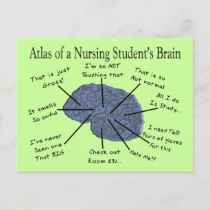 Hilarious Nursing Student "Brain" Gifts Postkarte