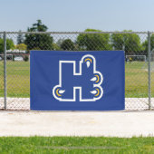 Hilbert College H Banner (InSitu)