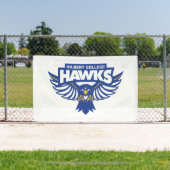 Hilbert College Hawks Banner (InSitu)