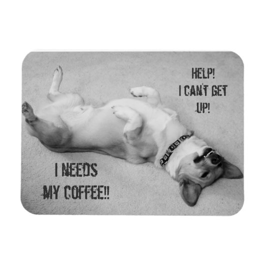 Hilf mir, den Magneten nicht aufzustehen Magnet (Horizontal)