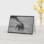 Hilfe für Trunk Karte (Gelbe Blume)