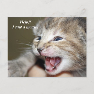 Hilfe! Ich habe eine Maus gesehen! Postkarte