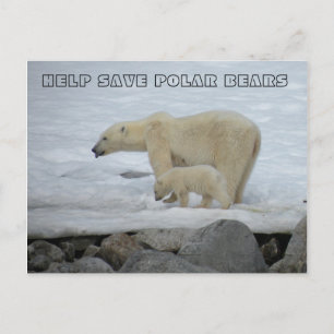 HILFE ZUM RETT VON POLAR-BÄREN POSTKARTE