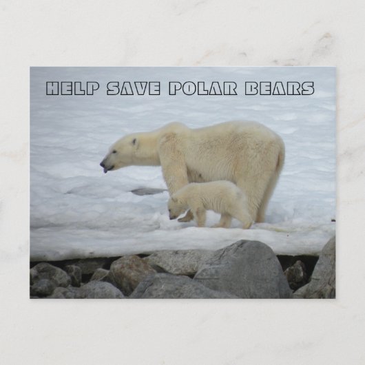HILFE ZUM RETT VON POLAR-BÄREN POSTKARTE (Vorderseite)