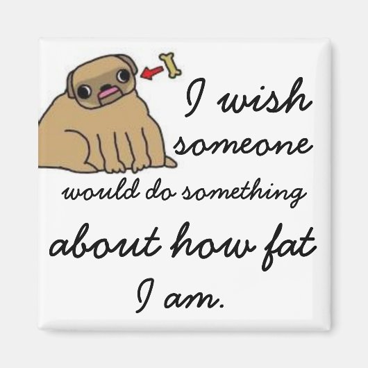 hilfloser Fettmagnet Magnet (Vorne)