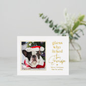 Hilfreiche Heimtiere Urlaub Postkarte Weihnachtska (Stehend vorne)