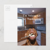 Hilfreicher Erntedankhund Feiertagspostkarte (Vorne/Hinten)