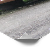 Hill Billy Racing Special Poster (Ecke)