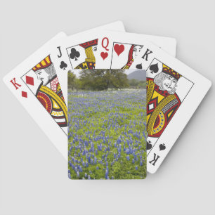 Hill Country, Texas, Bluebonnets und Eichenbaum Spielkarten