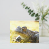 Hill End Toad Postkarte (Stehend Vorderseite)
