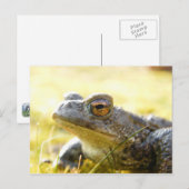 Hill End Toad Postkarte (Vorne/Hinten)