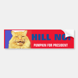 Hill Nr. Pumpkin für den Präsidenten 2016 Autoaufkleber
