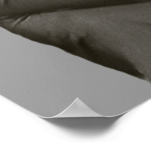 Hillary Shooter Poster (Ecke)