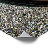 Hillbilly Deluxe Sportster Chop Poster (Ecke)