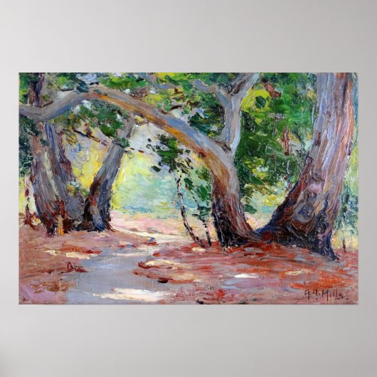 Hills - Sunshine Shadow Orange Landkreis Park Poster (Vorne)