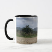 Hillscape Serenity Tasse (Links)