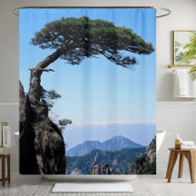 Hillside Ferne Pine Tree Landschaft am Berg