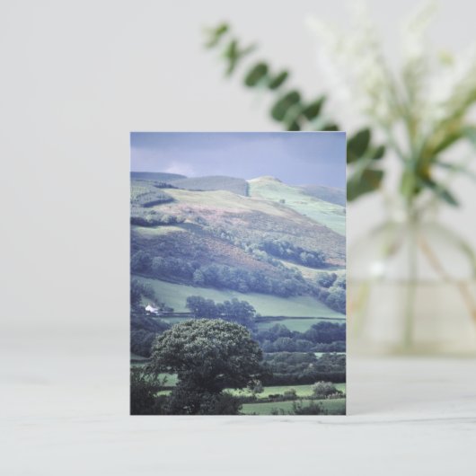 Hillside in Wales UK Postkarte (Stehend Vorderseite)
