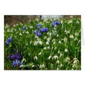 Hillside of Early Spring Flowers Landschaft (Vorderseite (Horizontal))