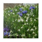 Hillside of Early Spring Flowers Landschaft Fliese (Vorderseite)