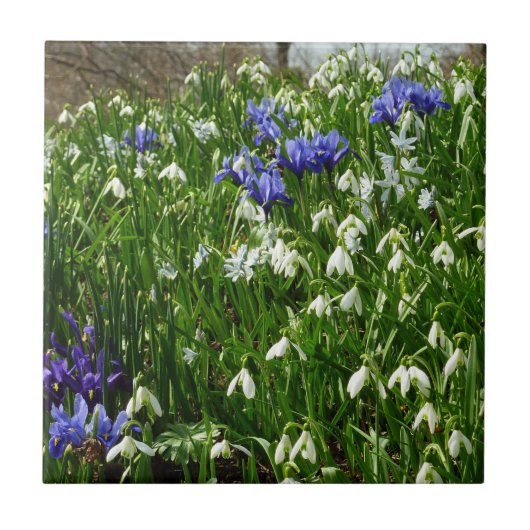 Hillside of Early Spring Flowers Landschaft Fliese (Vorderseite)