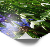 Hillside of Early Spring Flowers Landschaft Fotodruck (Ecke)