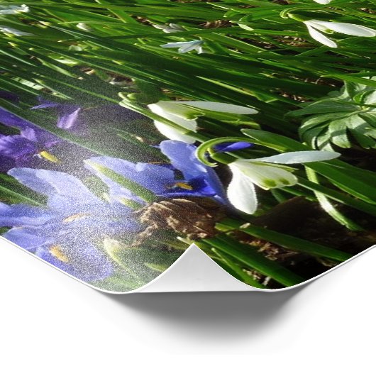 Hillside of Early Spring Flowers Landschaft Fotodruck (Ecke)