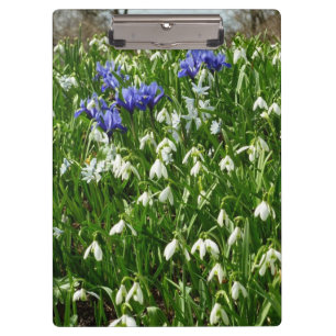 Hillside of Early Spring Flowers Landschaft Klemmbrett