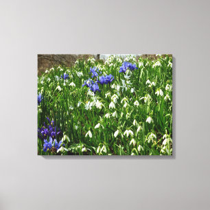 Hillside of Early Spring Flowers Landschaft Leinwanddruck