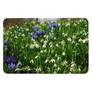 Hillside of Early Spring Flowers Landschaft Magnet