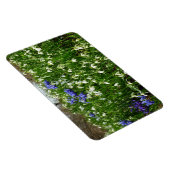 Hillside of Early Spring Flowers Landschaft Magnet (Rechte Seite)