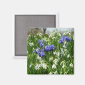 Hillside of Early Spring Flowers Landschaft Magnet (Vorderseite/Rückseite)