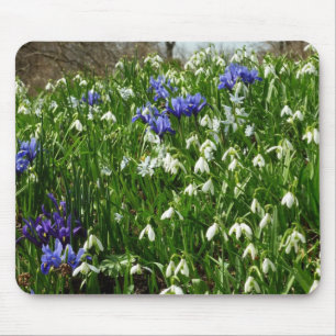 Hillside of Early Spring Flowers Landschaft Mousepad