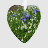 Hillside of Early Spring Flowers Landschaft Ornament (Vorderseite)