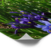 Hillside of Early Spring Flowers Landschaft Poster (Ecke)