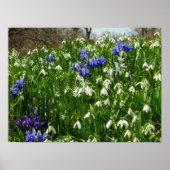 Hillside of Early Spring Flowers Landschaft Poster (Vorne)