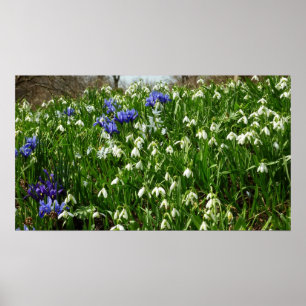 Hillside of Early Spring Flowers Landschaft Poster