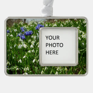 Hillside of Early Spring Flowers Landschaft Rahmen-Ornament Silber