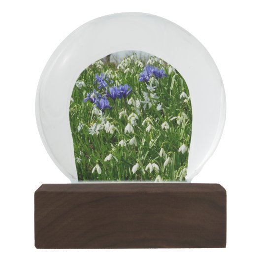 Hillside of Early Spring Flowers Landschaft Schneekugel (Rückseite)