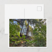 Hillside Postkarte (Vorne/Hinten)