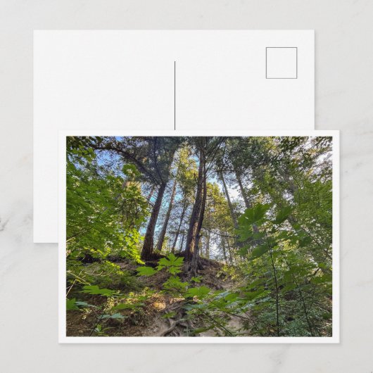 Hillside Postkarte (Vorne/Hinten)