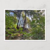 Hillside Postkarte (Vorderseite)