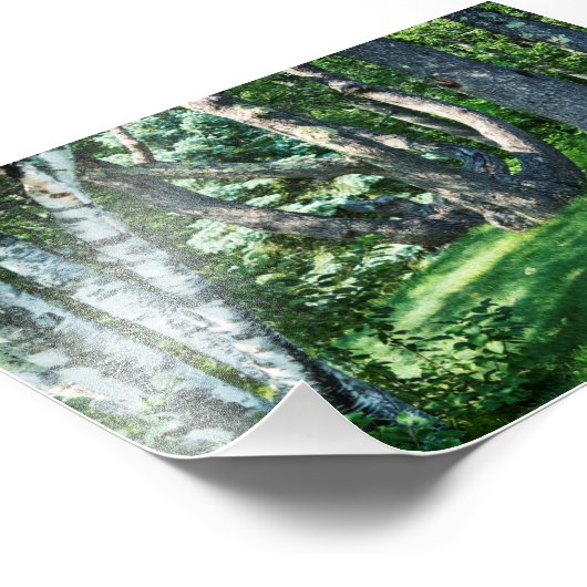 Hillside Trees Fotodruck (Ecke)