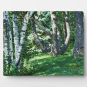 Hillside Trees Fotoplatte (Vorderseite)